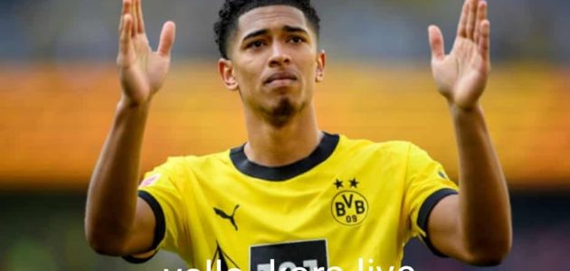 ريال مدريد أبرم صفقة أولية بقيمة 103 مليون يورو لشراء جود بيلينجهام من دورتموند